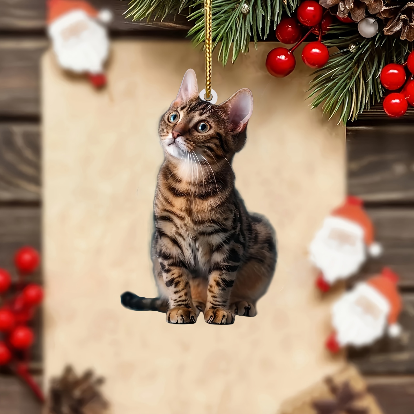 3 ชิ้น 2D แบนแมวอะคริลิคจี้แขว - Car Accessories Xmas บทวิจารณ์และราคา